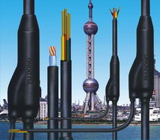 橡套分支電纜廠家推薦