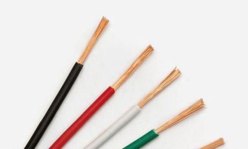 電線電纜干貨 選購網線的技巧