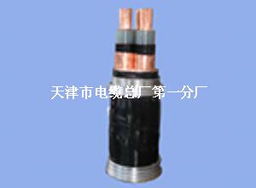 zr kvvp22 kvvp2 控制電纜 mhyv礦用通信電纜,rvvz通信電源電纜,hya通信電纜,mkvv礦用控制電纜,礦用控制電纜mkvv32,wdz ryy低煙無鹵電源電纜,通訊電纜hyat,djyvp計算機電纜,mhyvr礦用信號電 天津市電纜總