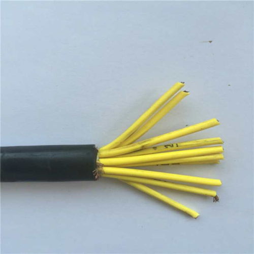 ia djyjp3vp3 2 3.1.5本安計算機電纜 廠家供應供應